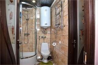 Апартаменты VIP-Apartments Angel palas Черновцы Апартаменты с 2 спальнями-14